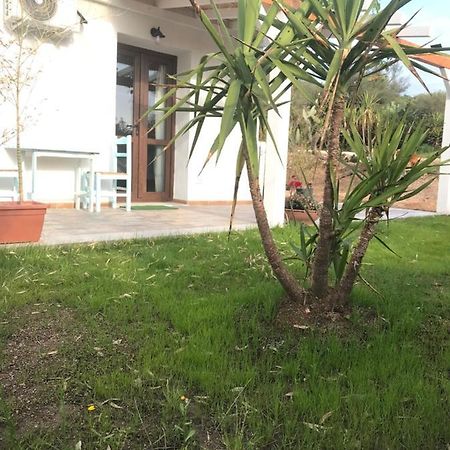 La Fragola In Campagna 6 K M Da San Pantaleo Hotel Bagian luar foto