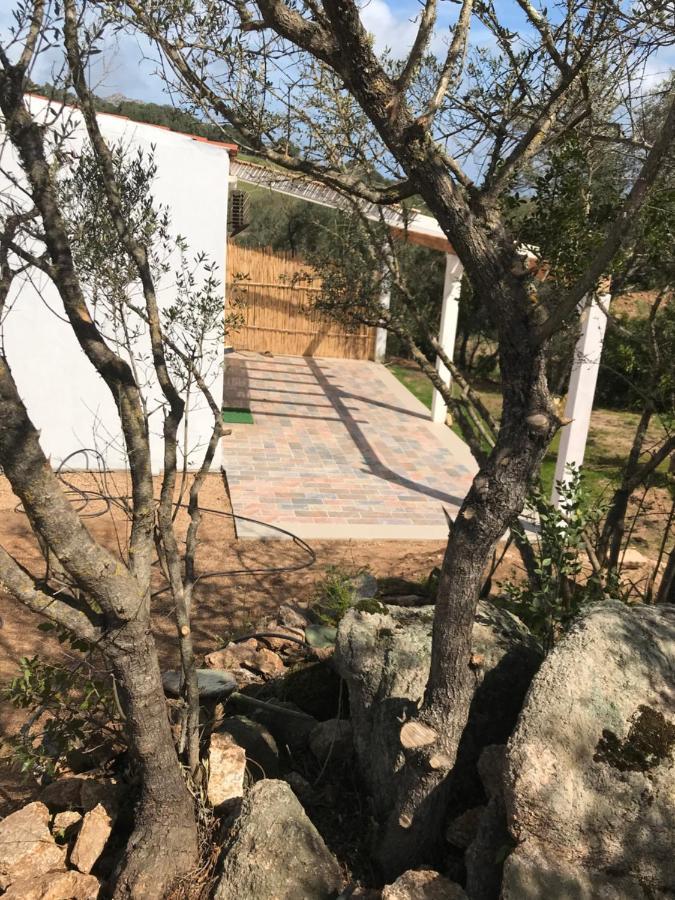 La Fragola In Campagna 6 K M Da San Pantaleo Hotel Bagian luar foto