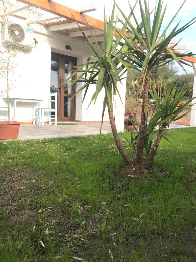 La Fragola In Campagna 6 K M Da San Pantaleo Hotel Bagian luar foto