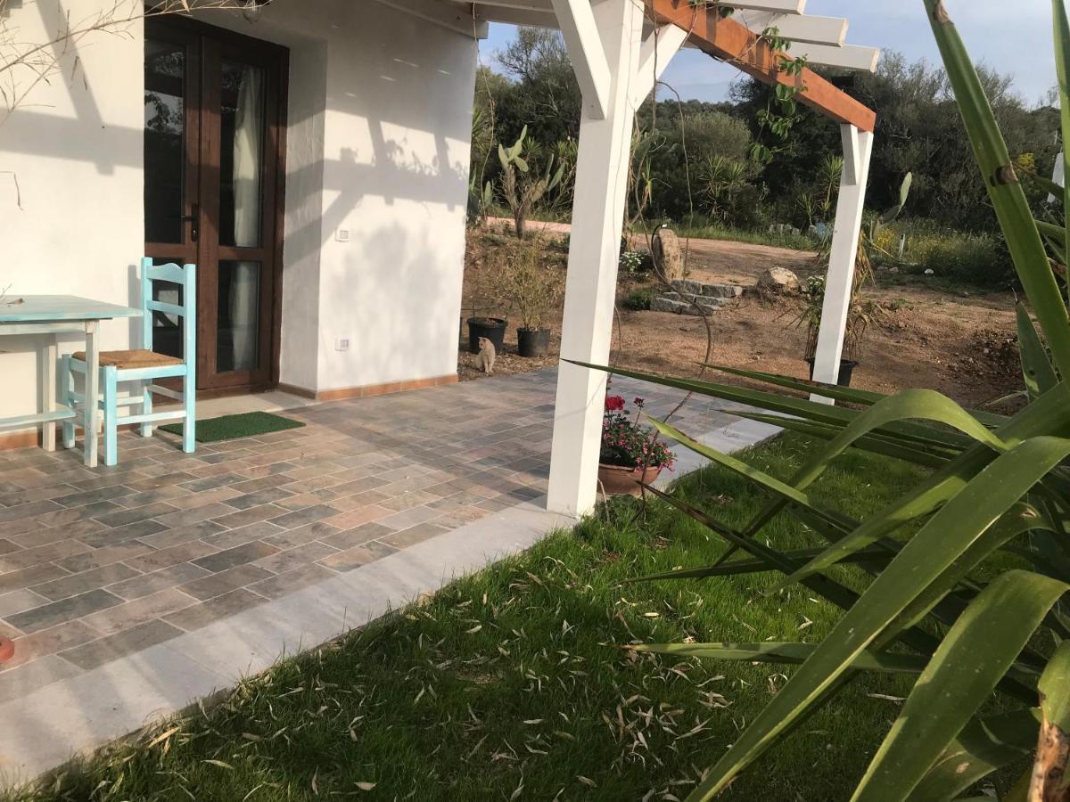 La Fragola In Campagna 6 K M Da San Pantaleo Hotel Bagian luar foto