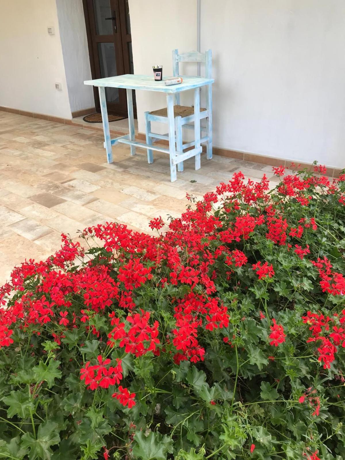 La Fragola In Campagna 6 K M Da San Pantaleo Hotel Bagian luar foto