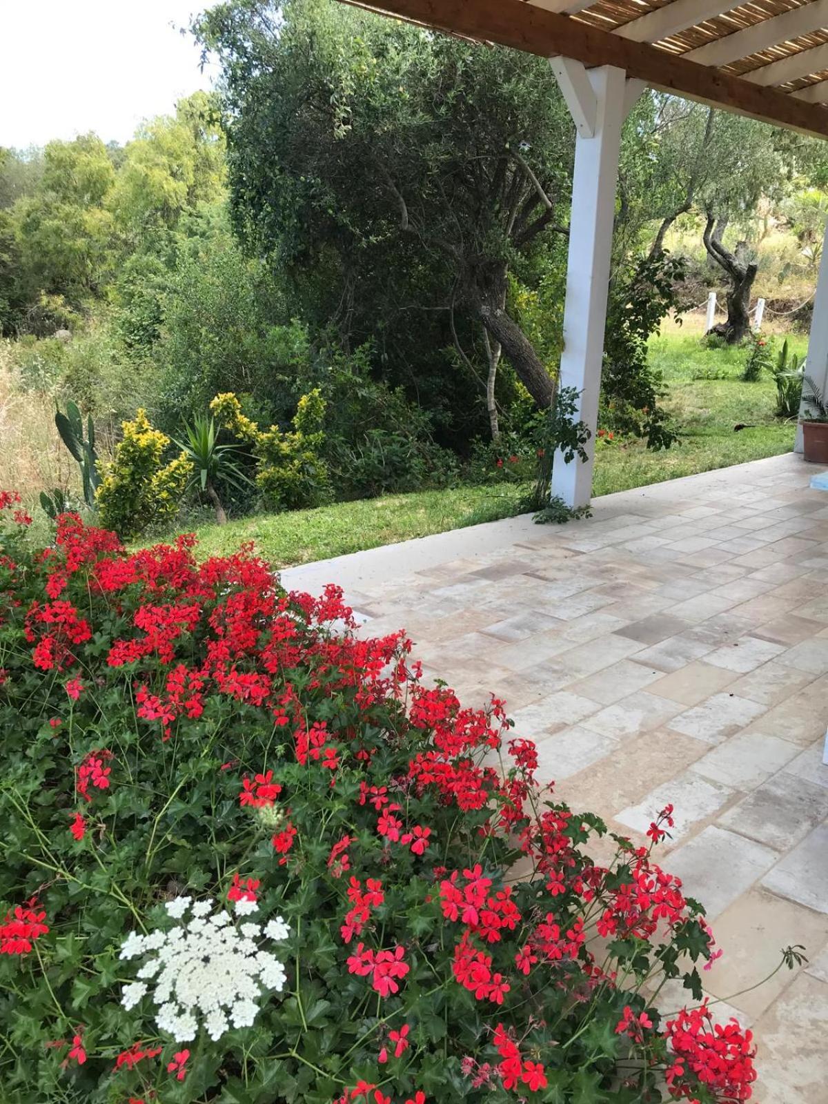 La Fragola In Campagna 6 K M Da San Pantaleo Hotel Bagian luar foto