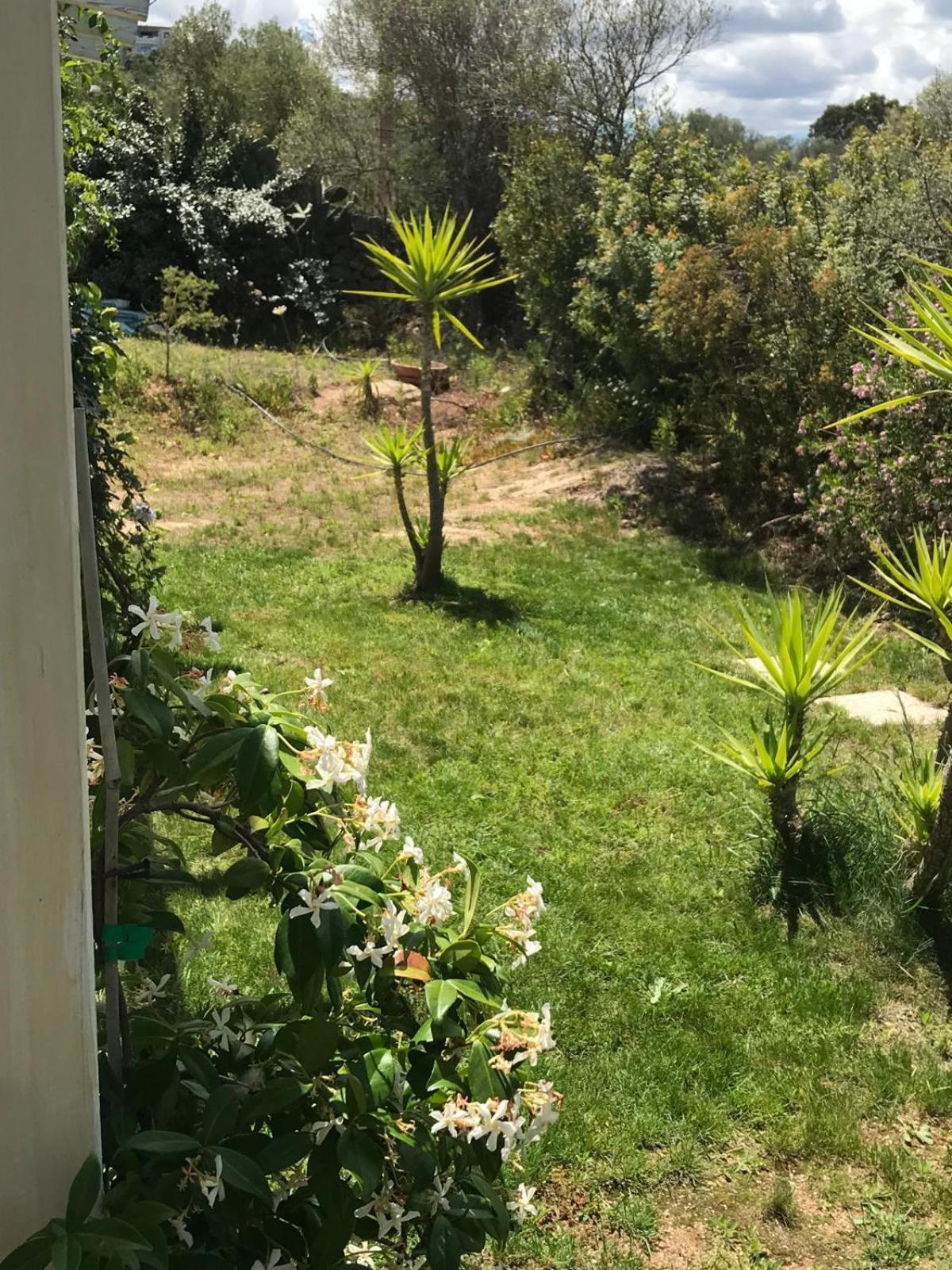 La Fragola In Campagna 6 K M Da San Pantaleo Hotel Bagian luar foto
