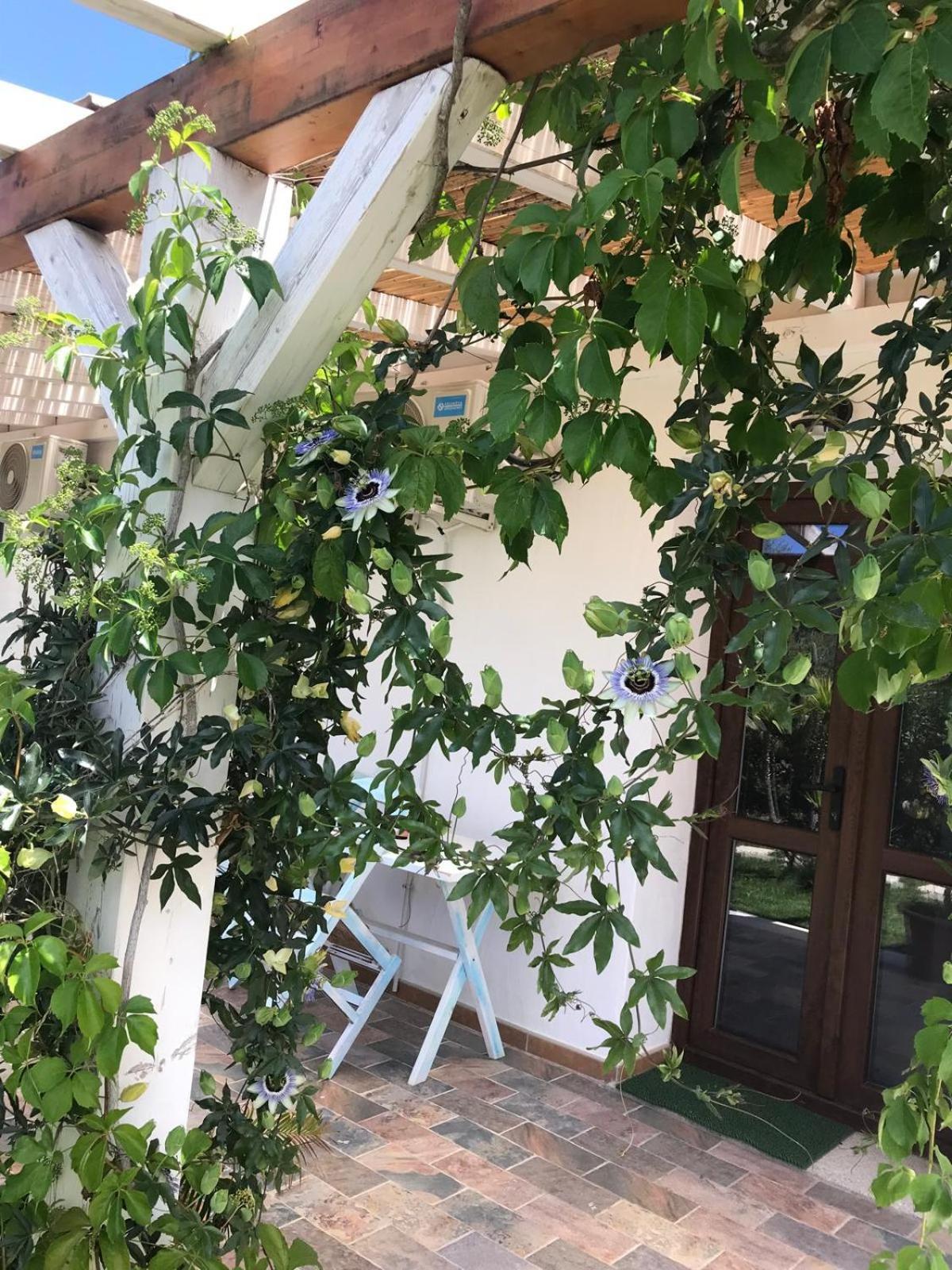 La Fragola In Campagna 6 K M Da San Pantaleo Hotel Bagian luar foto