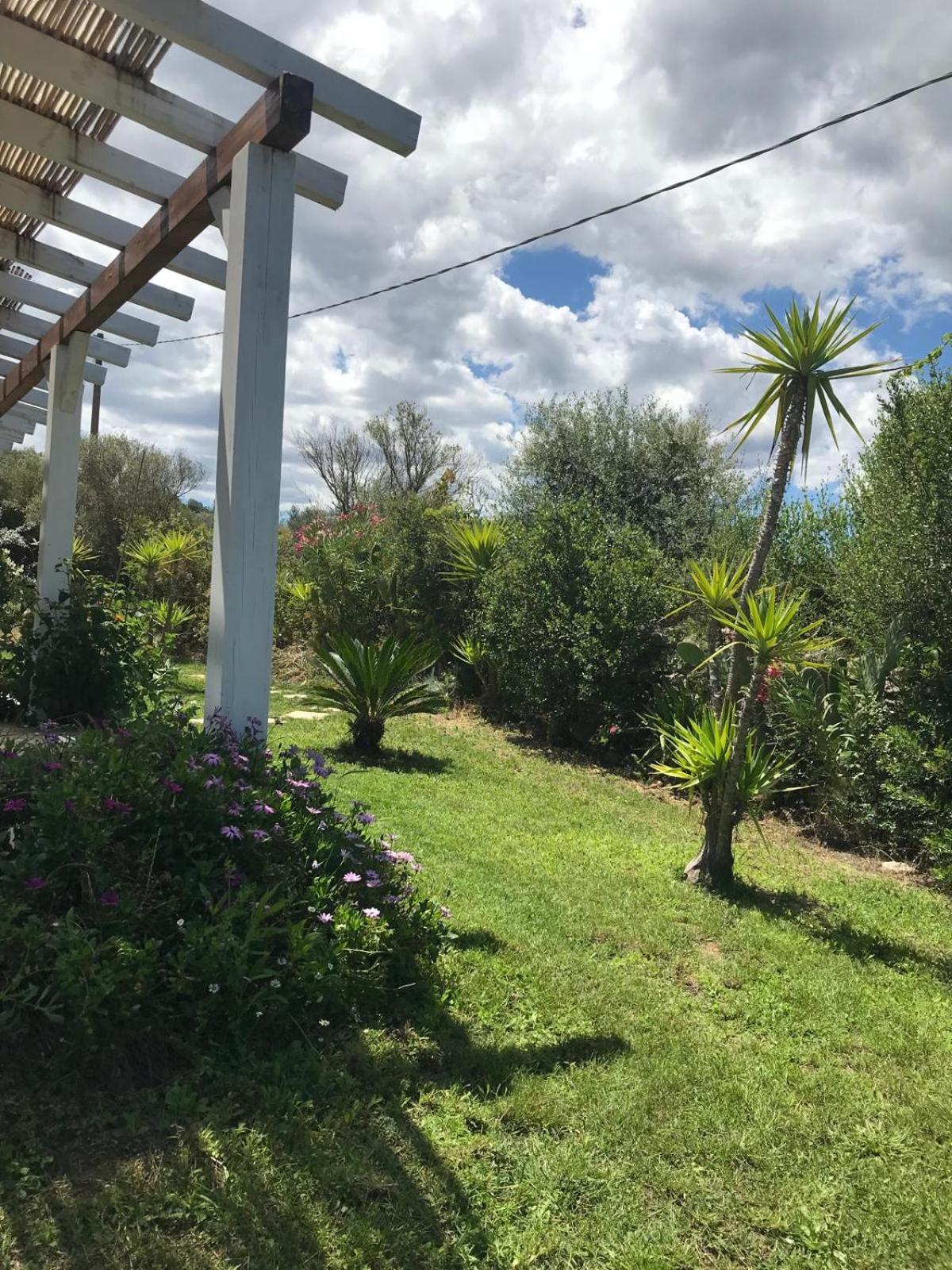 La Fragola In Campagna 6 K M Da San Pantaleo Hotel Bagian luar foto