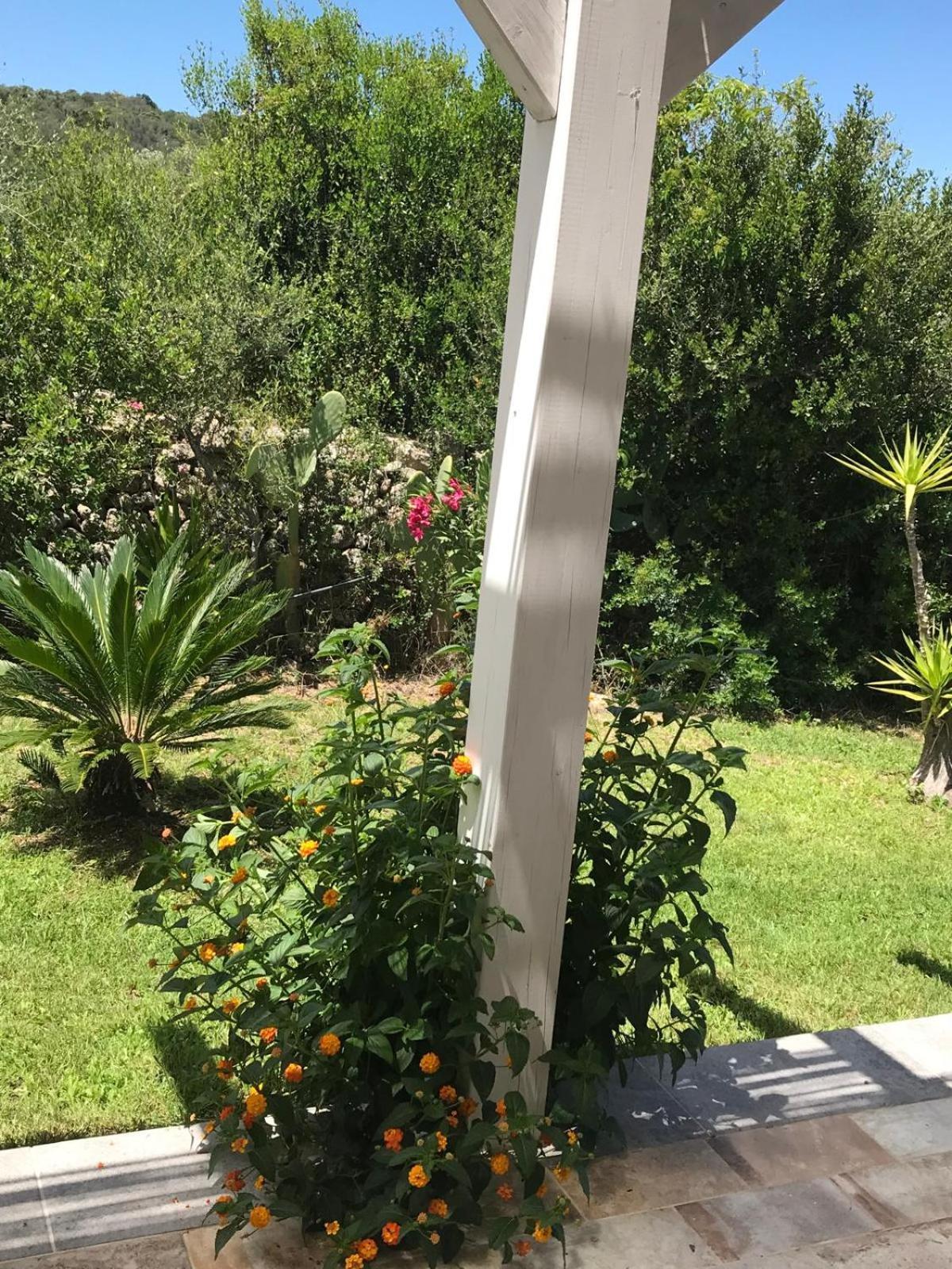 La Fragola In Campagna 6 K M Da San Pantaleo Hotel Bagian luar foto