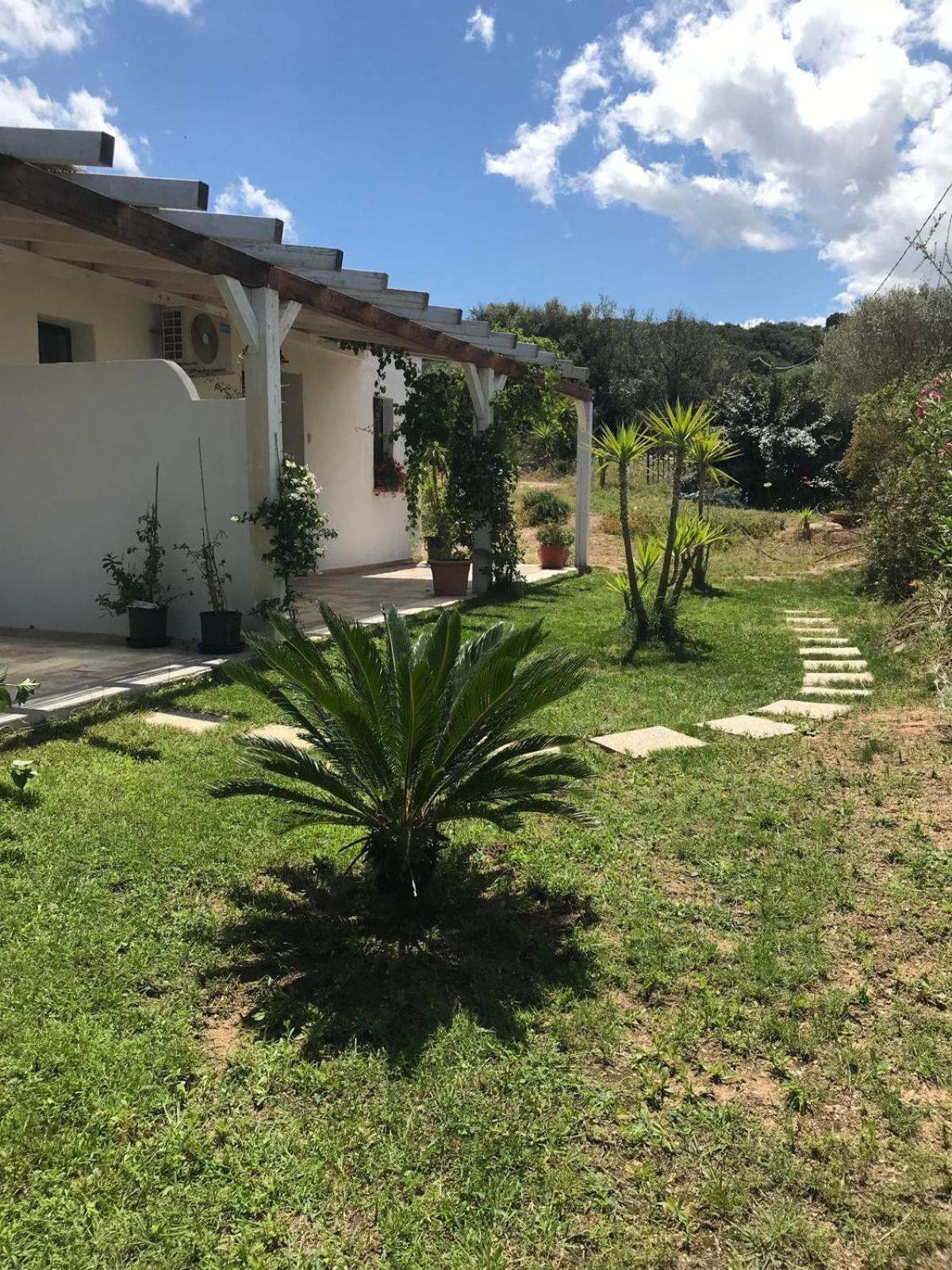 La Fragola In Campagna 6 K M Da San Pantaleo Hotel Bagian luar foto