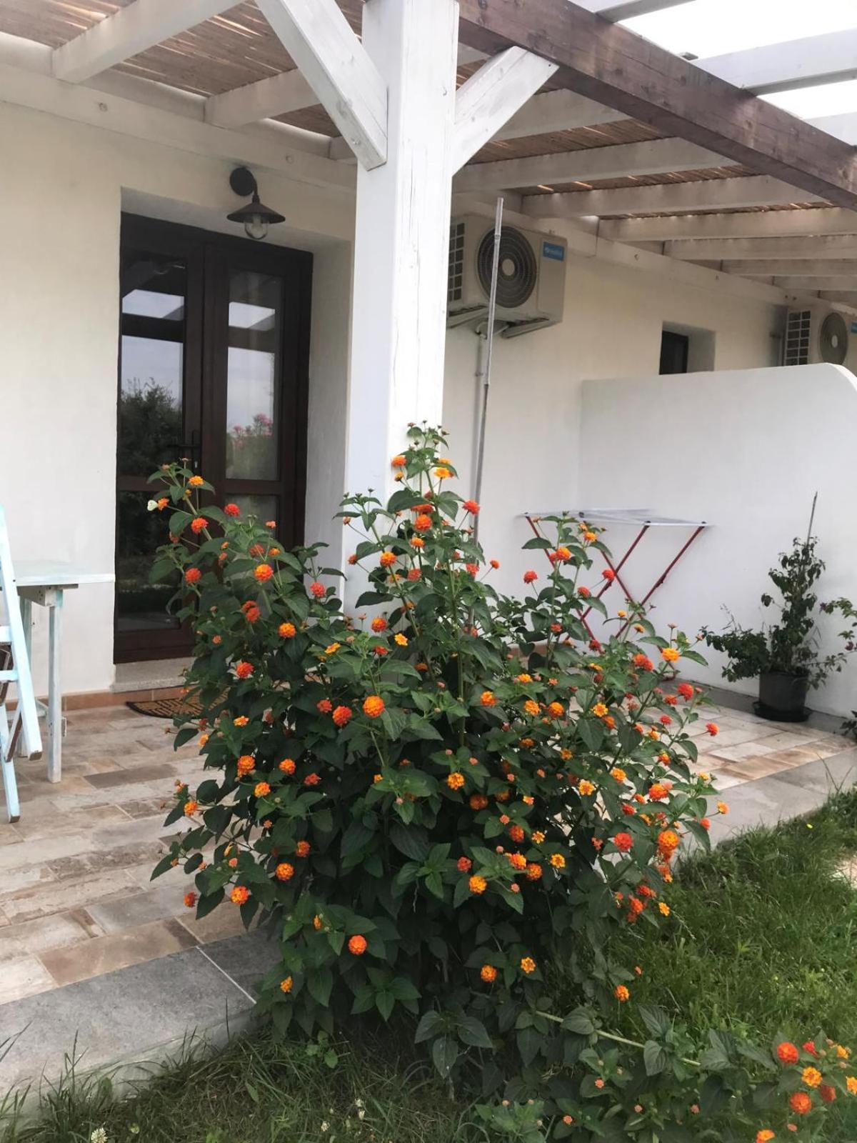 La Fragola In Campagna 6 K M Da San Pantaleo Hotel Bagian luar foto