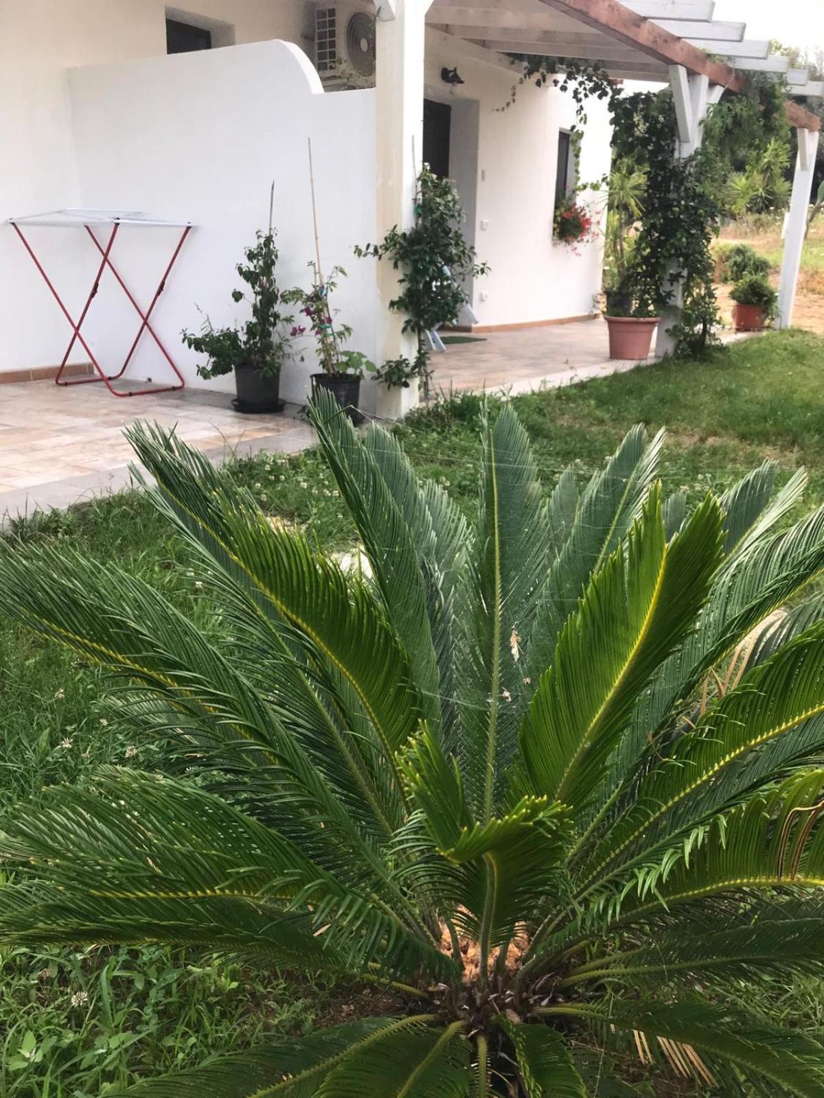 La Fragola In Campagna 6 K M Da San Pantaleo Hotel Bagian luar foto